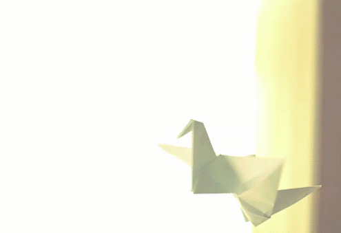 7fcbc569f0e2b22ce201803a8996f5d9