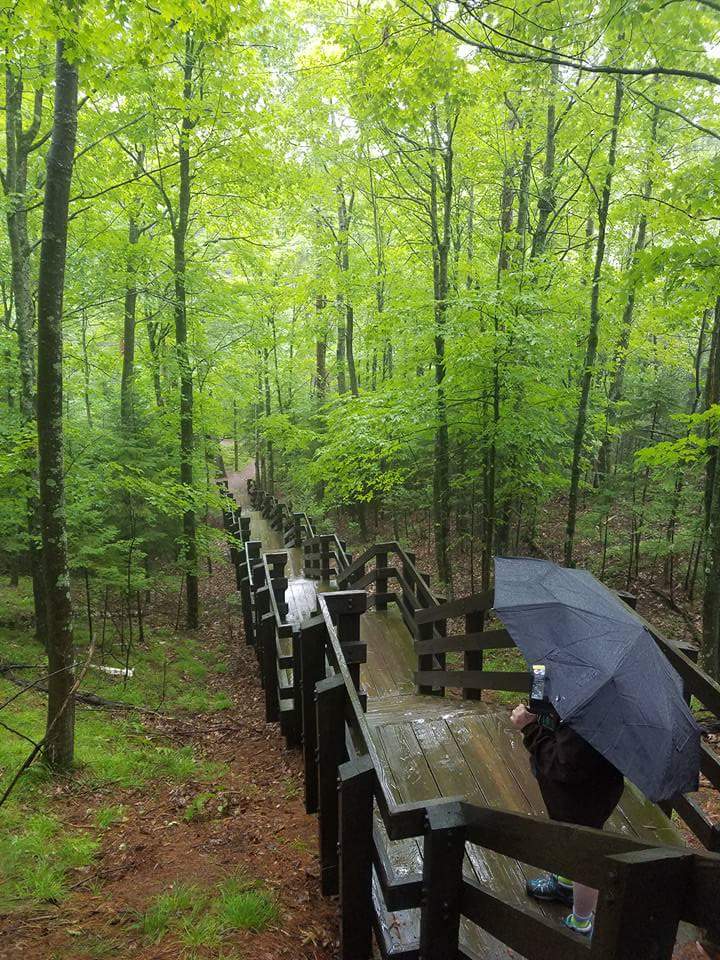 FB_IMG_1529067627032